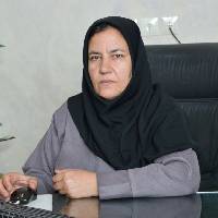 گلچین کاکائی